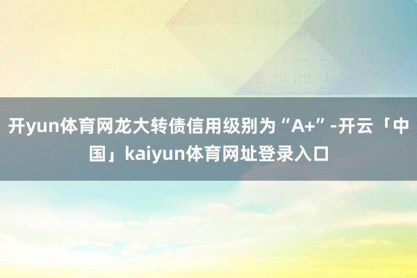 开yun体育网龙大转债信用级别为“A+”-开云「中国」kaiyun体育网址登录入口
